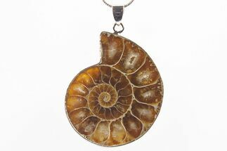 Fossil Ammonite Pendant - Million Years Old #306415