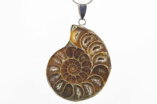 Fossil Ammonite Pendant - Million Years Old #306416