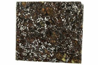 Polished Admire Pallasite Meteorite ( g) Slice - Kansas #307327