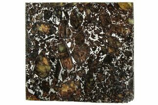 Polished Admire Pallasite Meteorite ( g) Slice - Kansas #307334