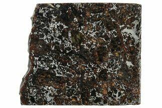 Polished Admire Pallasite Meteorite ( g) Slice - Kansas #307350