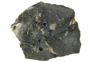 NWA Lunar Meteorite ( g) Slice #307497