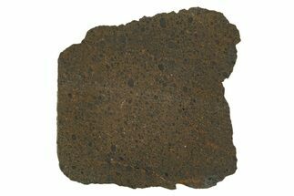 R Chondrite Meteorite ( g) Slice - Mont Tourniat #308375