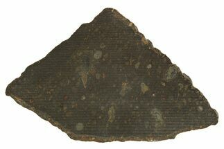 Carbonaceous Chondrite Meteorite ( g) Slice - NWA #308383