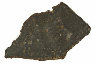 Carbonaceous Chondrite Meteorite ( g) Slice - NWA #308385