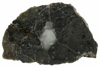 NWA Lunar Meteorite ( g) Slice #307585