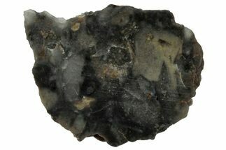 NWA Lunar Meteorite ( g) Slice #307596