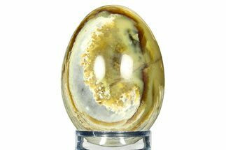 Polished Olive Green Chrysotile Serpentine Egg - Arizona #308734