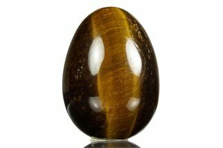 Polished Tiger's Eye Egg #308762