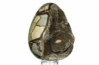 Septarian Dragon Egg Geode - Sparkly Black Crystals #308825