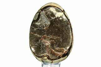 Septarian Dragon Egg Geode - Sparkly Black Crystals #308835