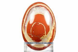 Polished Red Jasper Egg with Agate Seams - South Africa #308850