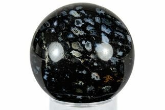 Polished, Black Petrified Palm Root Sphere - Indonesia #308997