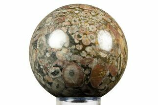 Fossil Crinoid Stems In Marble Sphere #308996