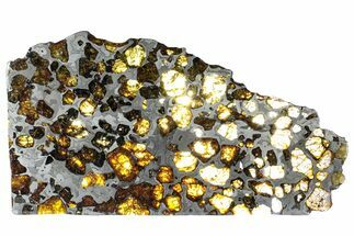 Polished Imilac Pallasite Meteorite (g) Slice #309039