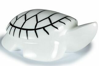 Carved White Marble Turtle - Philippines #309067