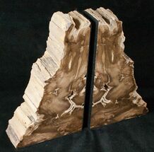 Tall Petrified Wood (Conifer) Bookends - McDermitt, Oregon #16881