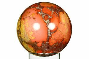 Polished King Cobra Jasper - FossilEra.com