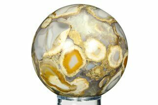 Polished Orbicular King Cobra Jasper Sphere - India #309231