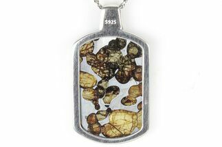 Sericho Pallasite Dog Tag Meteorite Pendant - Kenya #309303