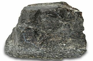 Fossil Dinosaur Bone Section - Bone Cabin Quarry, Wyoming #309250