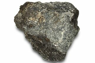 Fossil Dinosaur Bone Section - Bone Cabin Quarry, Wyoming #309251