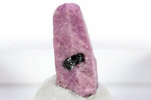 Ruby. 2024 6.63 carats. From Kiteto District, Manyara Region, Tanzania