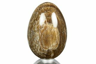 Polished Petrified Wood Egg - Australia #309050