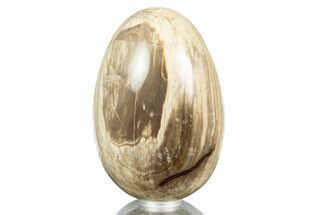 Polished Petrified Wood Egg - California #309054