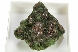 Pyrope, Forsterite, Diopside & Omphacite Association - Norway #309763