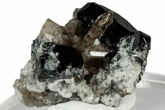 Lustrous Champagne Topaz Crystals on Bixbyite - Utah #309343