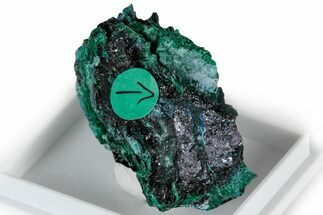 Rare Blue Buttgenbachite w/ Malachite & Cuprite - DR Congo #309638