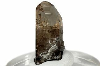 Lustrous Champagne Topaz Crystal - Utah #309262