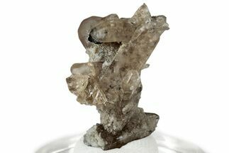 Lustrous Champagne Topaz Crystal Cluster - Utah #309294