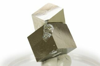 Shiny, Natural Pyrite Cube Cluster - Navajun, Spain #307038