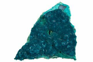 Vibrant Teal Botryoidal Chrysocolla and Malachite - Chile #310118