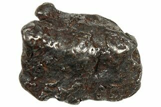 Gebel Kamil Iron Meteorite ( g) - Egypt #302685