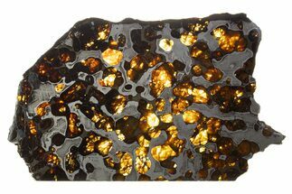 Brenham Pallasite Meteorite ( g) Slice - Kansas #310387