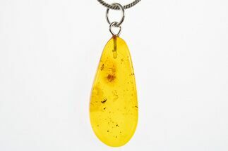 Polished Baltic Amber Pendant (Necklace) - Contains Insect! #311016