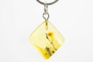 Polished Baltic Amber Pendant (Necklace) - Contains Two Flies! #311019