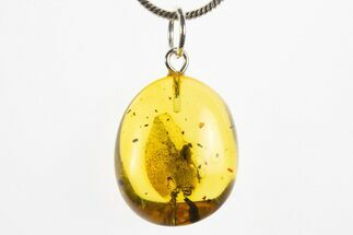 Polished Baltic Amber Pendant (Necklace) - Contains Fly! #311023