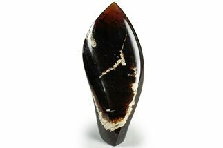 Tall, Free-Standing Polished Indonesian Blue Amber #311495