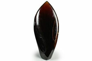 Tall, Free-Standing Polished Indonesian Blue Amber #311498