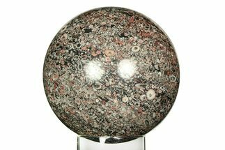 Colorful Fossil Crinoid Stems In Marble Sphere #311522