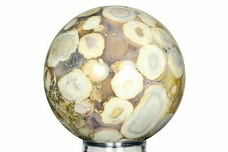 Polished Orbicular King Cobra Jasper Sphere - India #311568