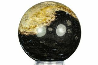 Polished Petrified Palm Wood Sphere - Indonesia #311584