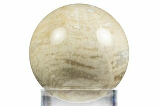 Polished Agatized Fossil Coral Sphere - Indonesia #311532