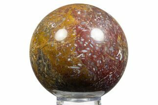 Colorful Polished Petrified Palm Root Sphere - Indonesia #311712