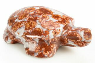 Polished Red Flower Marble Turtle - India #311882