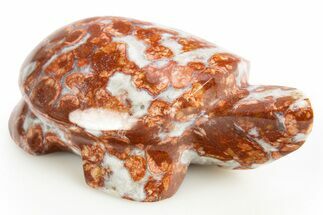 Polished Red Flower Marble Turtle - India #311886